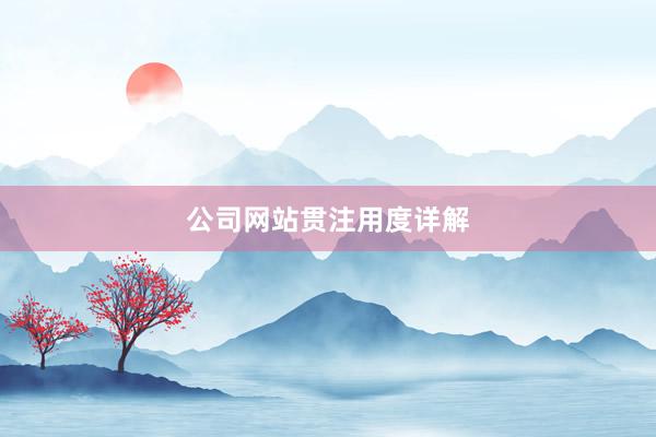 公司网站贯注用度详解